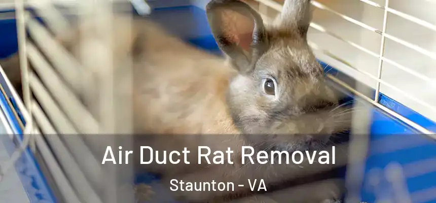 Air Duct Rat Removal Staunton - VA