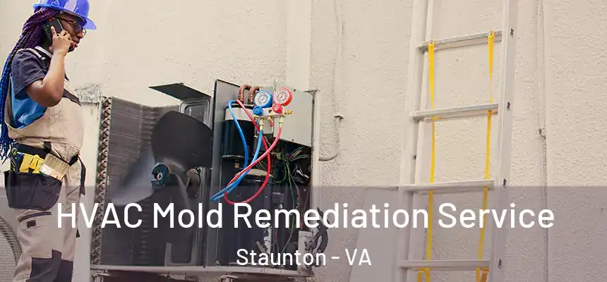 HVAC Mold Remediation Service Staunton - VA
