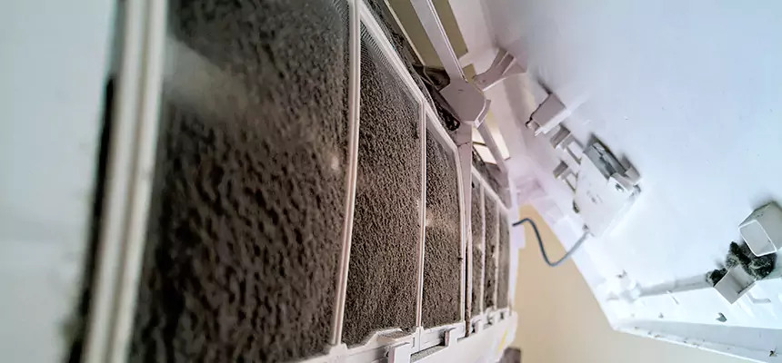 Preventive Air Duct Bacteria Removal in Staunton