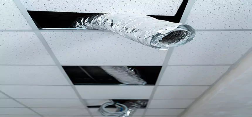 Our Air Duct Pet Hair Removal Services in Staunton, VA