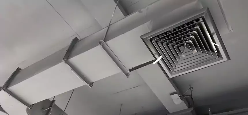 Restorative Allergy Relief Vent Cleaning – Coil, Blower & Housing Detail in Staunton