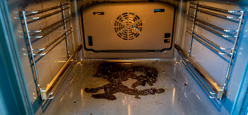 Our Dryer Vent Mold Cleaning Services in Staunton, VA