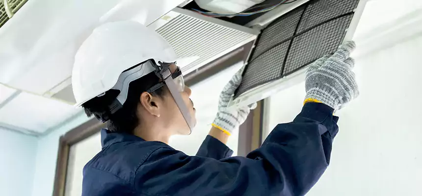 Our Mold & Mildew Removal from Air Ducts Services in Staunton, VA