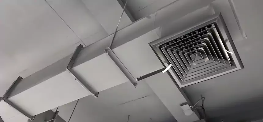 Our Pest Removal From Ducts Services in Staunton, VA