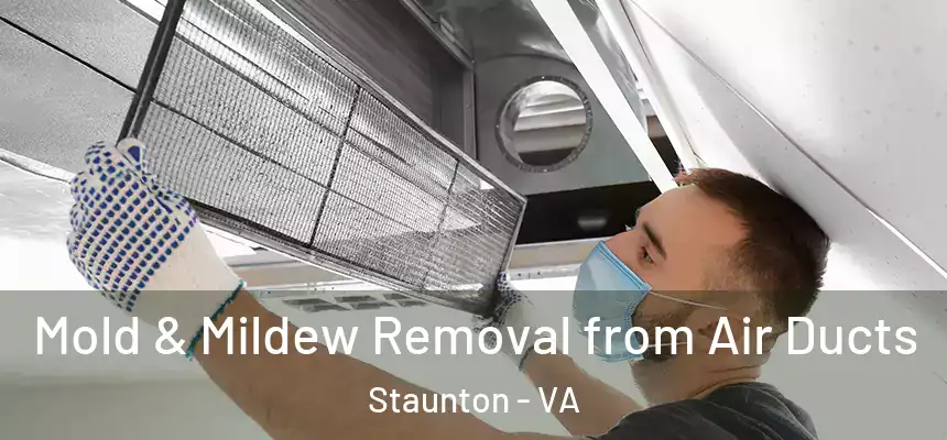 Mold & Mildew Removal from Air Ducts Staunton - VA