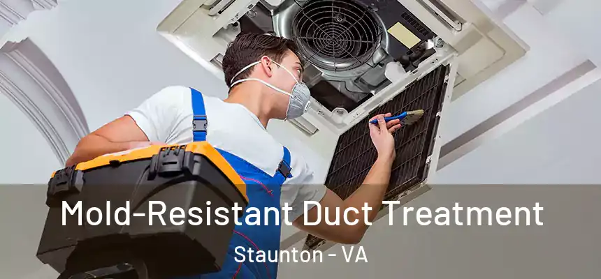 Mold-Resistant Duct Treatment Staunton - VA