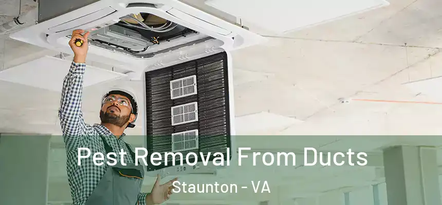 Pest Removal From Ducts Staunton - VA
