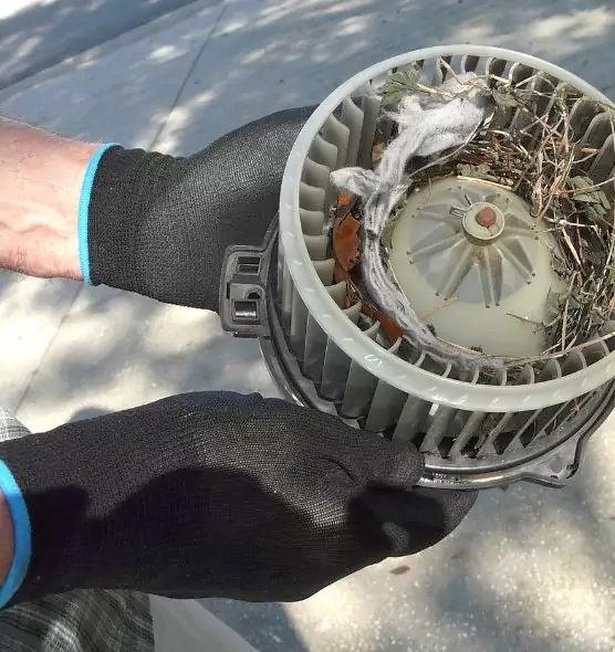 About Air Duct Mice Removal in Staunton, VA