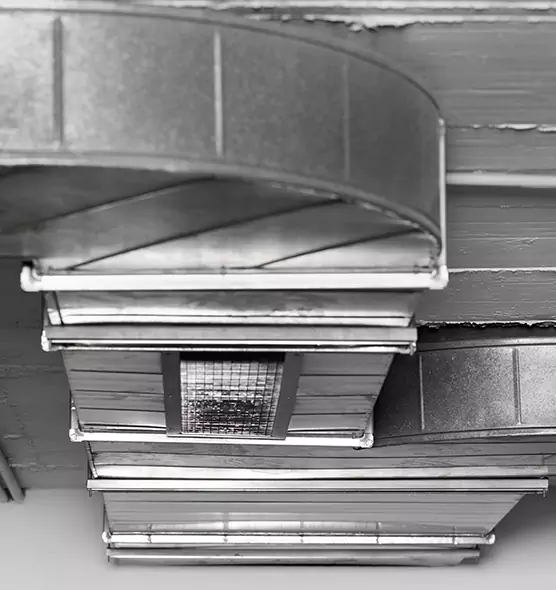 Professional Air Duct Pest Removal in Staunton, VA