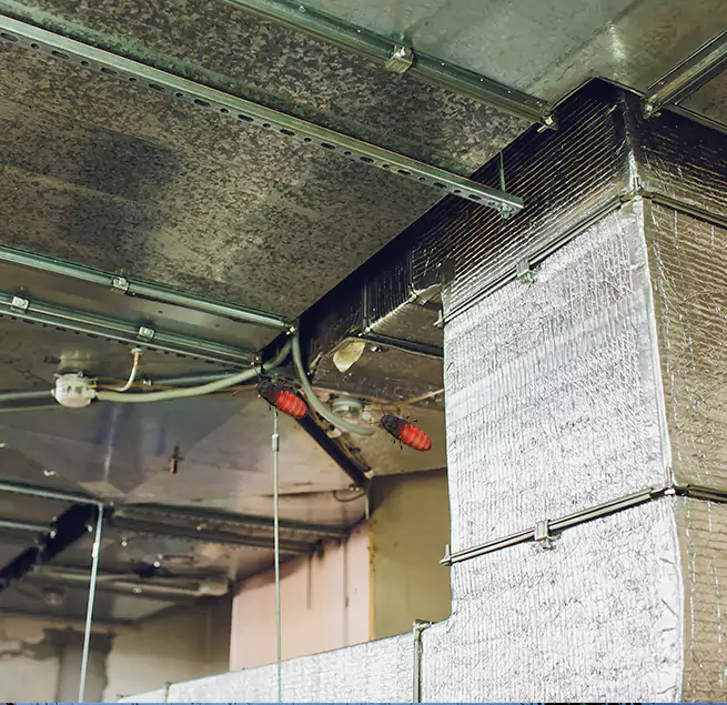 Why Homeowners & Businesses Trust Us in Staunton, VA?