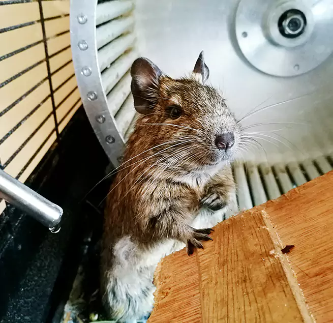 Why Homeowners & Businesses Trust Us Staunton, VA