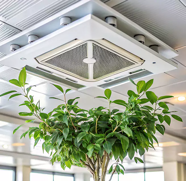 Why Homeowners & Businesses Trust Us in Staunton, VA